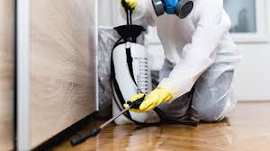 Emergency Pest Control Services in Palo Cedro, CA